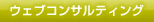 ウェブコンサルティング