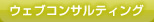 ウェブコンサルティング