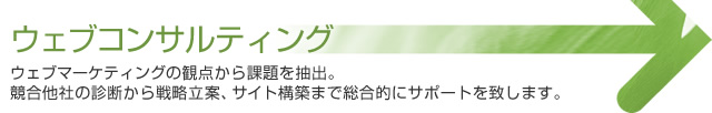 ウェブコンサルティング ウェブマーケティングの観点から課題を抽出。競合他社の診断から戦略立案、サイト構築まで総合的にサポートを致します。