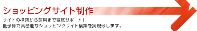 ショッピングサイト制作 サイトの構築から運用まで徹底サポート！低予算で高機能なショッピングサイト構築を実現致します。