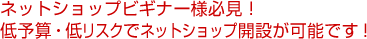 ネットショップビギナー様必見！低予算・低リスクでネットショップ開設が可能です！