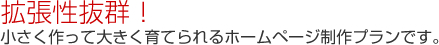 拡張性抜群！ 小さく作って大きく育てられるホームページ制作プランです。